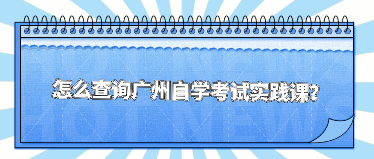 怎么查询广州自学考试实践课？