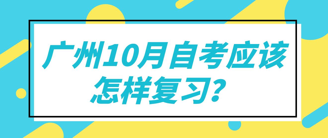广州10月自考应该怎样复习？