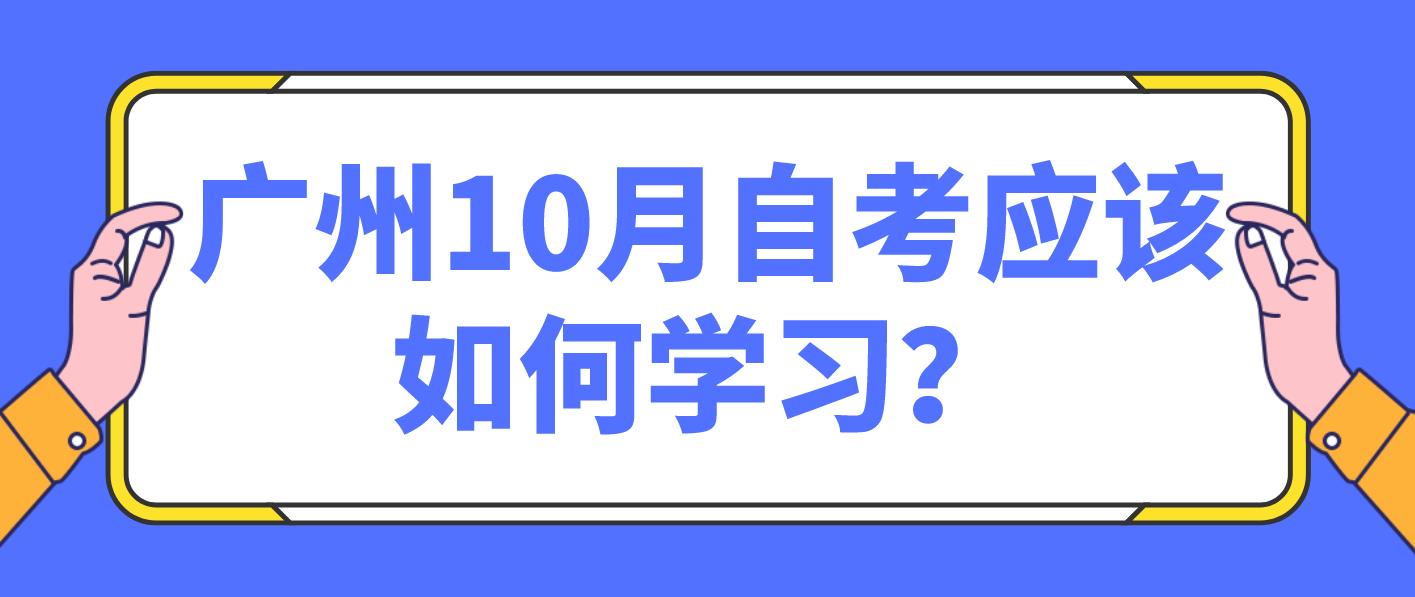 广州10月自考应该如何学习？