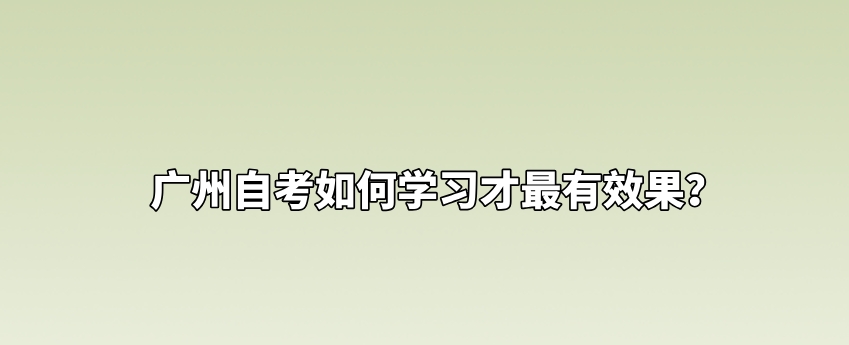 广州自考如何学习才最有效果？