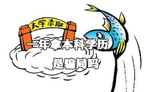 一年拿本科学历是骗局吗?(图1) 本科学历